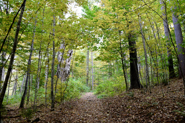 Prosper Road Foundation Transforming The Lives Of Our Youth